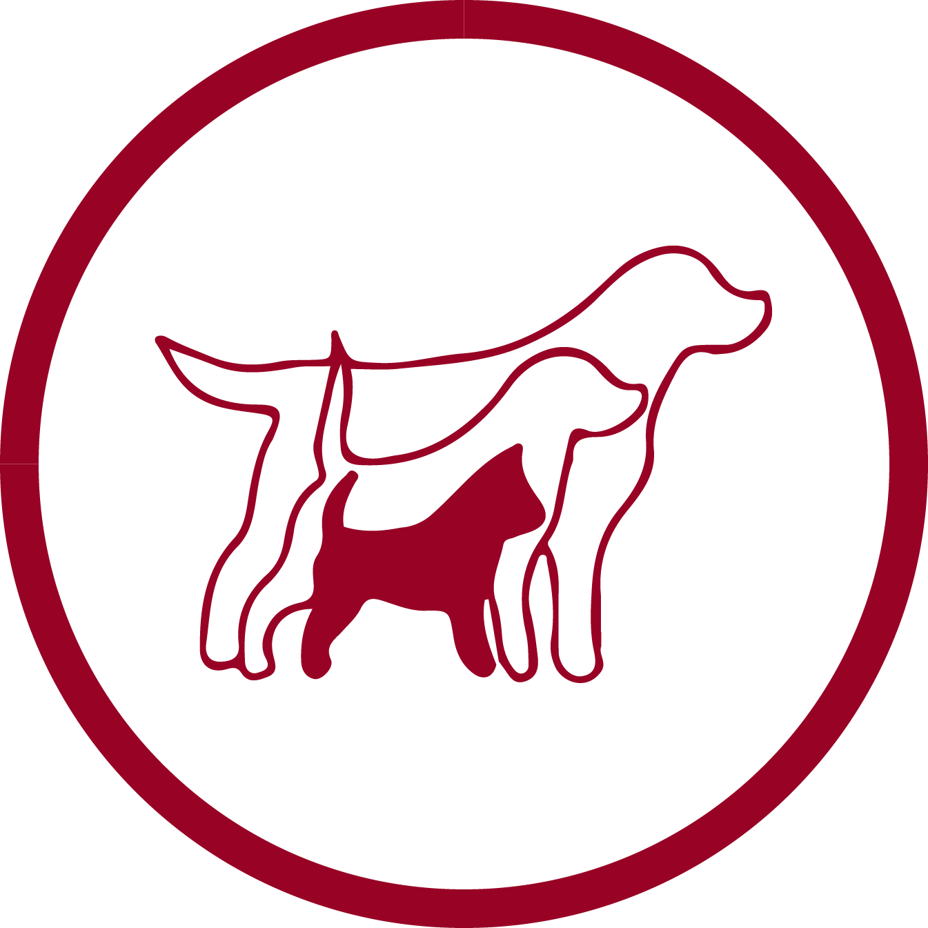 Hundefutter für kleine Hunde