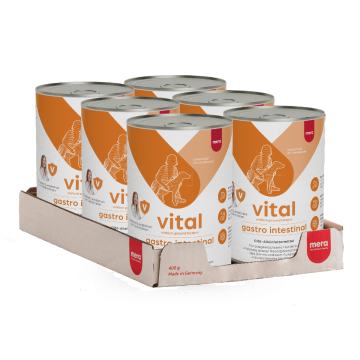 gastro intestinal Hund Nassfutter