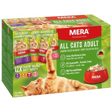 All CATS Adult Multibox Nassfutter