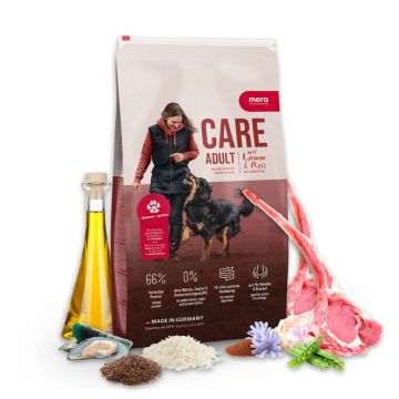 Adult mit Lamm & Reis