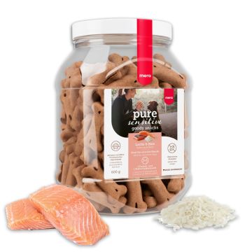 goody snacks Lachs & Reis