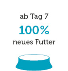 Feeding adjustment bowl 4